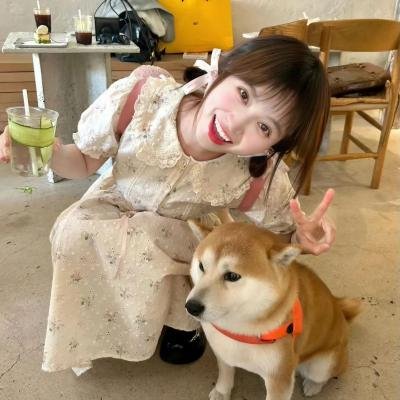 我为琴狂